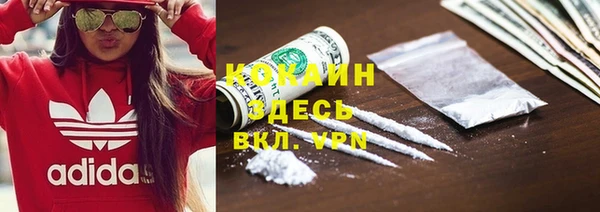 хмурый Арсеньев
