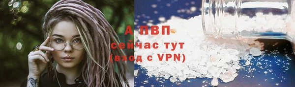 хмурый Арсеньев