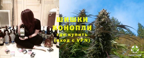 хмурый Арсеньев