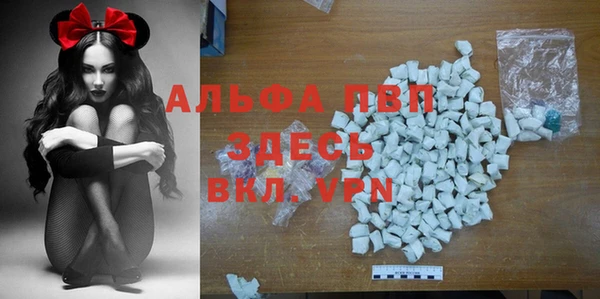 хмурый Арсеньев