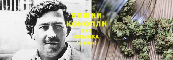 бошки Аркадак